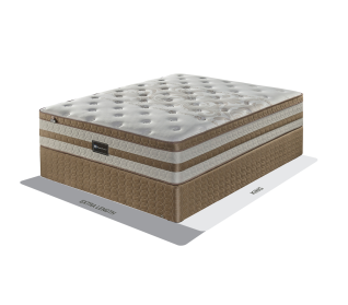Sealy Argo 152cm (Queen) Firm Bed Set Standard Length