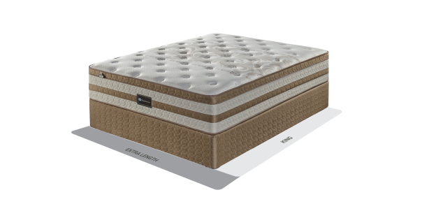 Sealy Argo 152cm (Queen) Firm Bed Set Standard Length